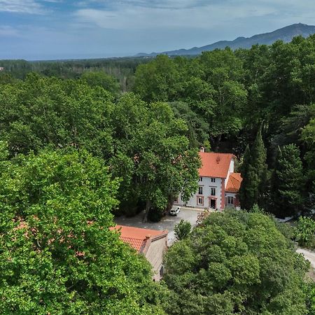 Gites Du Castell De Bles Saint-Genis-des-Fontaines Экстерьер фото