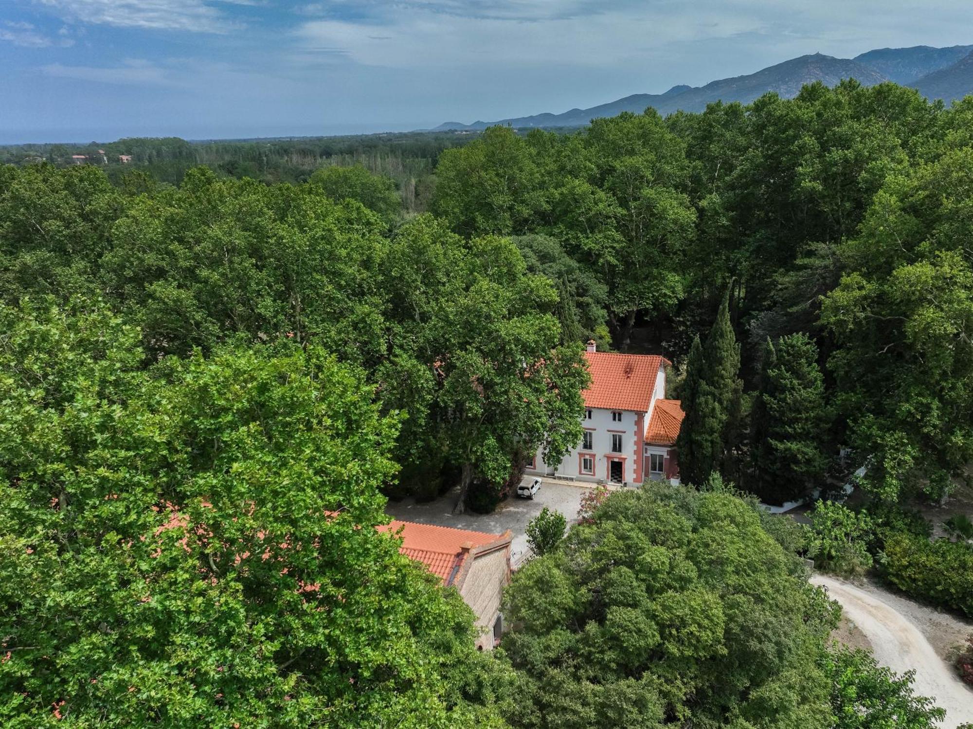 Gites Du Castell De Bles Saint-Genis-des-Fontaines Экстерьер фото